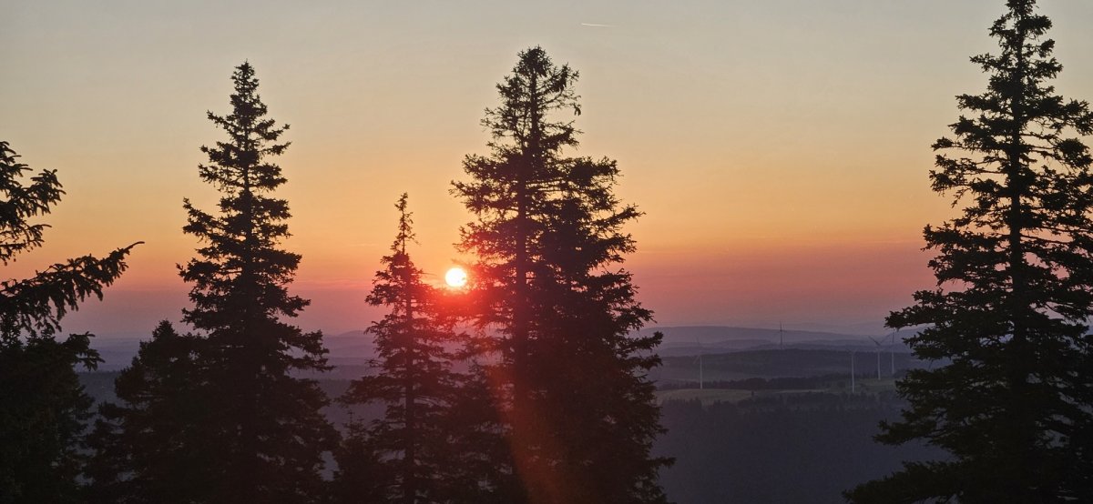 Solstice d'été à la cabane